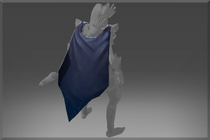 Cloak of the Master Thief