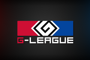 G-League 2013