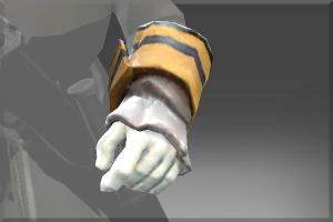Inscribed Gloves of the Admirable Admiral